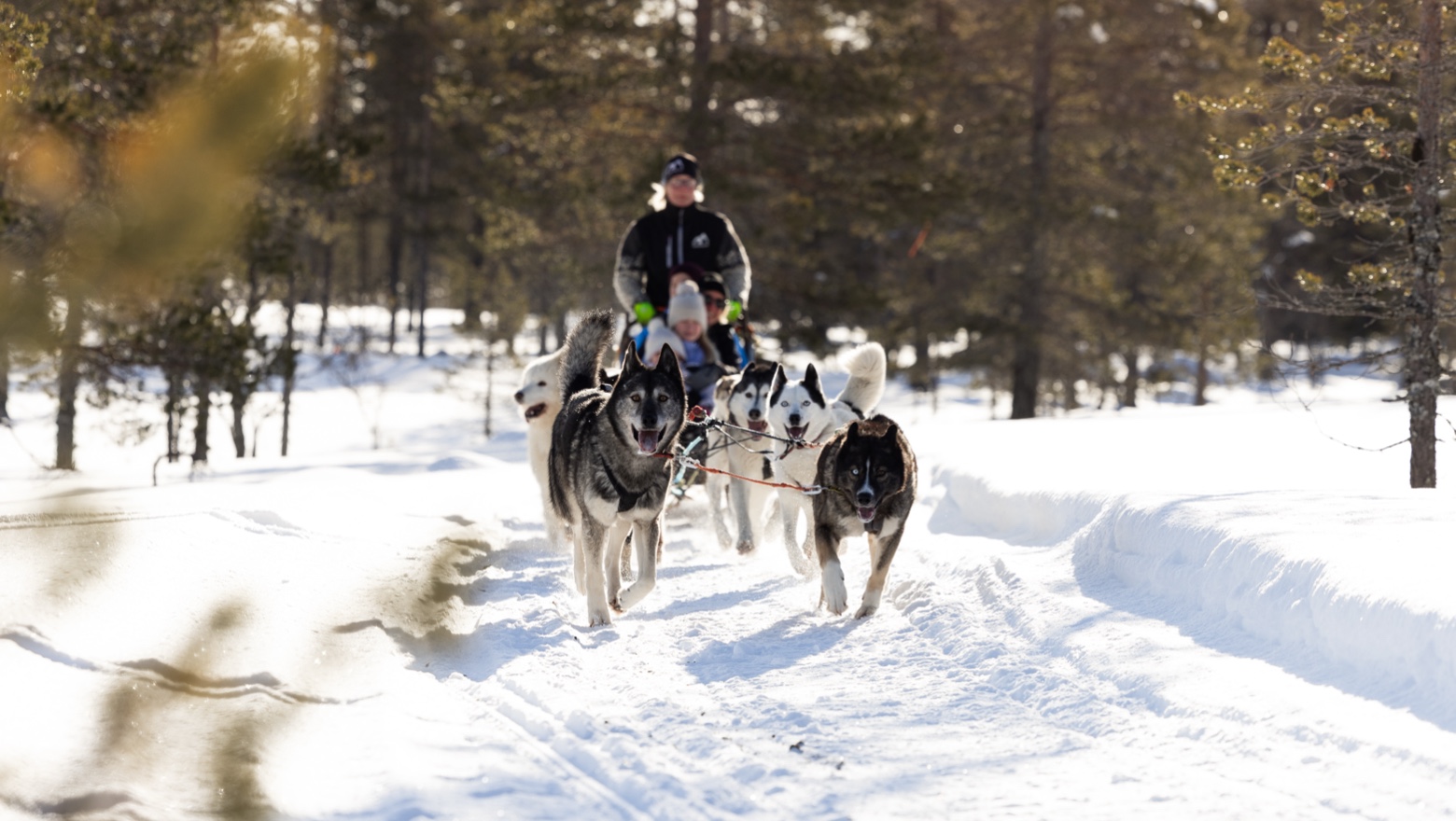 IHF_7000_250218.jpg.