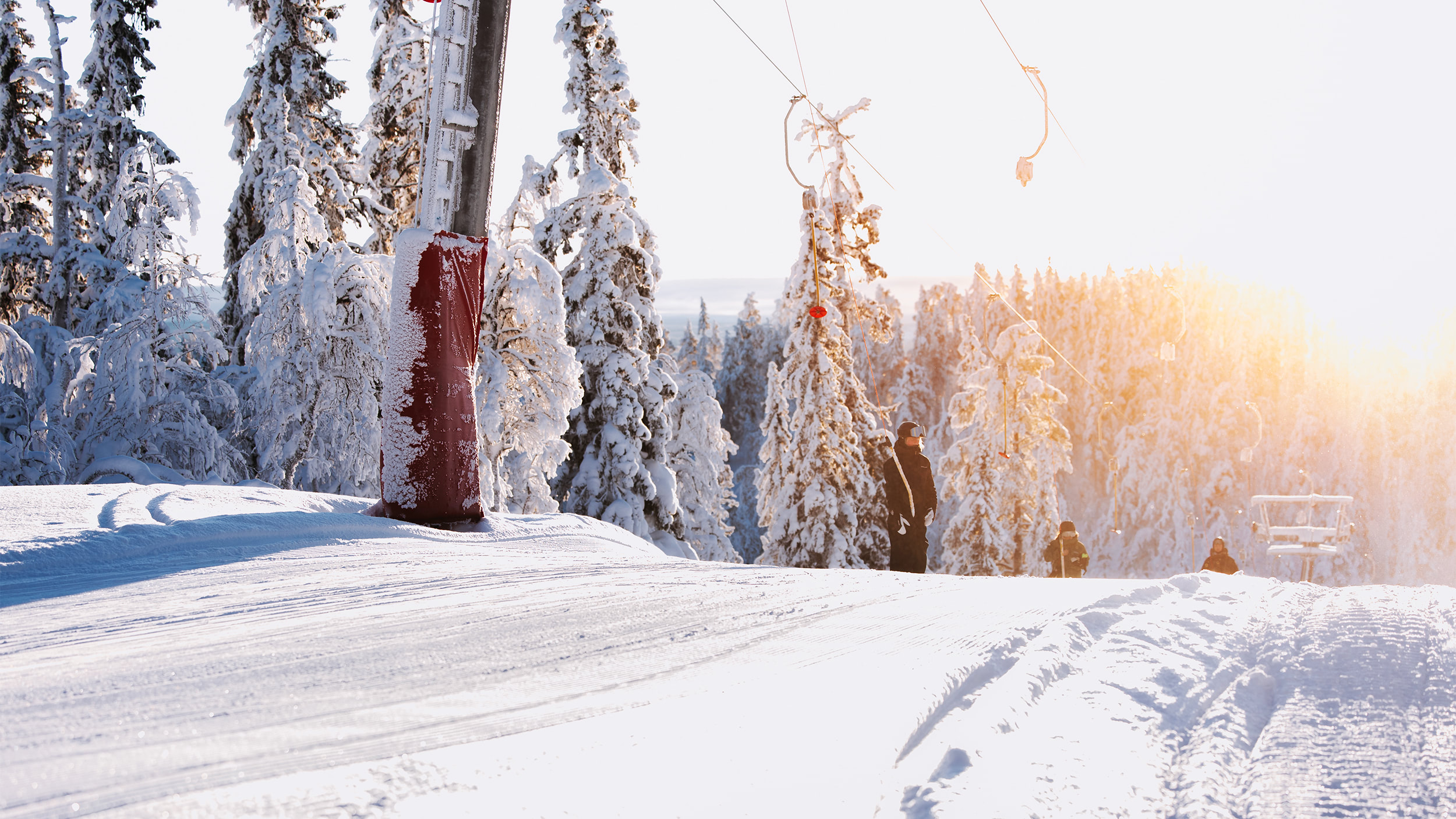 IHF_2171_260126.jpg.